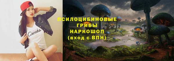прущие крисы Алзамай