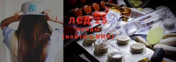 прущие крисы Алзамай