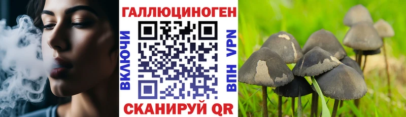 цены МЕГА сайт Псилоцибиновые грибы ЛСД Миасс