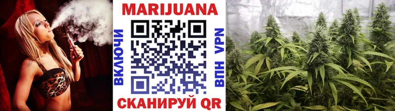 Конопля план  закладки  Миасс 